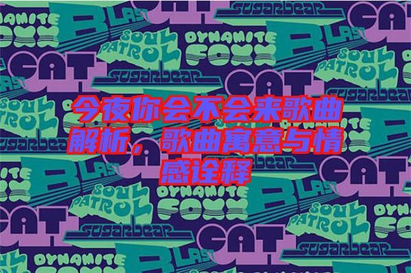 今夜你會(huì)不會(huì)來歌曲解析，歌曲寓意與情感詮釋