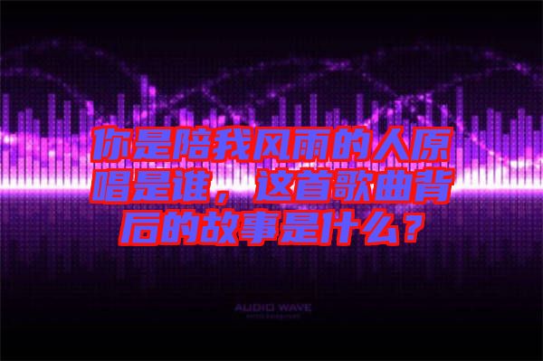 你是陪我風雨的人原唱是誰，這首歌曲背后的故事是什么？
