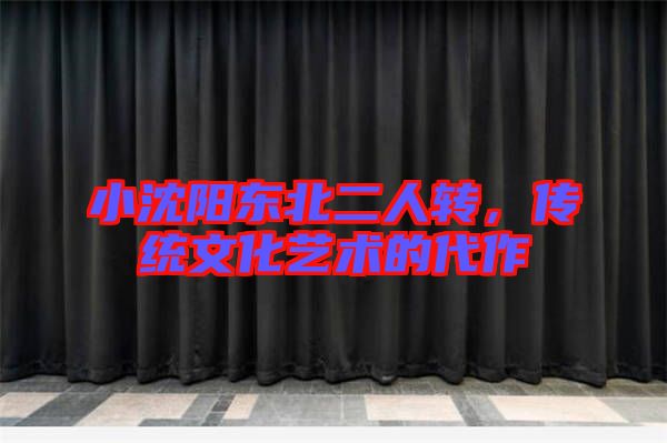 小沈陽東北二人轉，傳統文化藝術的代作