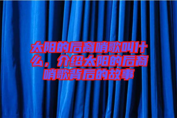 太陽的后裔哨歌叫什么，介紹太陽的后裔哨歌背后的故事