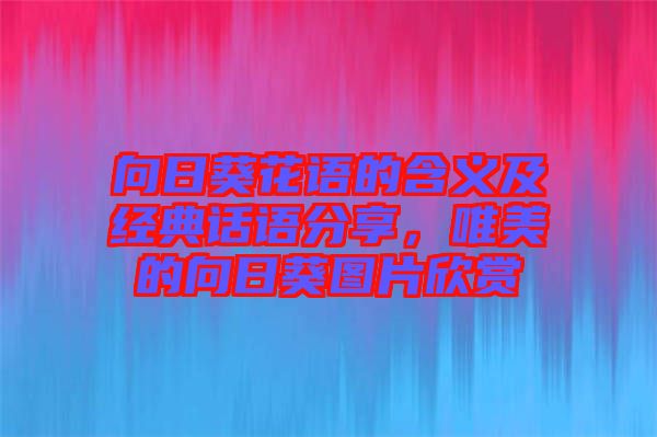 向日葵花語的含義及經典話語分享，唯美的向日葵圖片欣賞