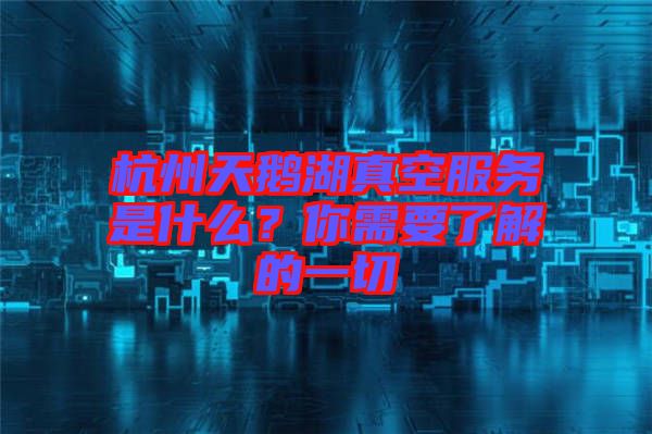 杭州天鵝湖真空服務是什么？你需要了解的一切