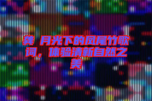 龔玥月光下的鳳尾竹歌詞，體驗清新自然之美
