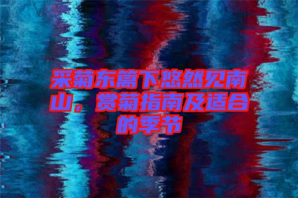 采菊東籬下悠然見南山，賞菊指南及適合的季節