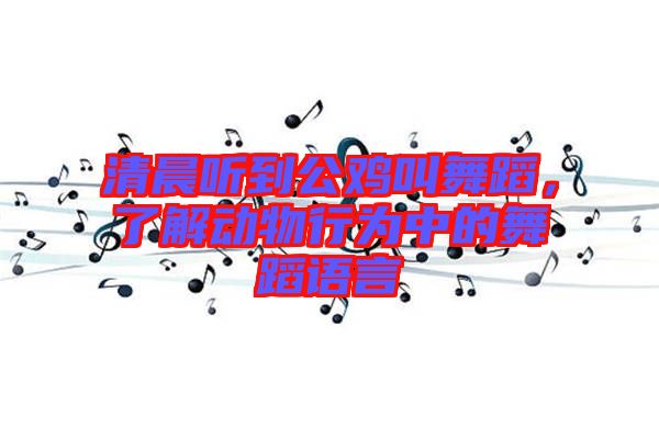 清晨聽到公雞叫舞蹈，了解動物行為中的舞蹈語言