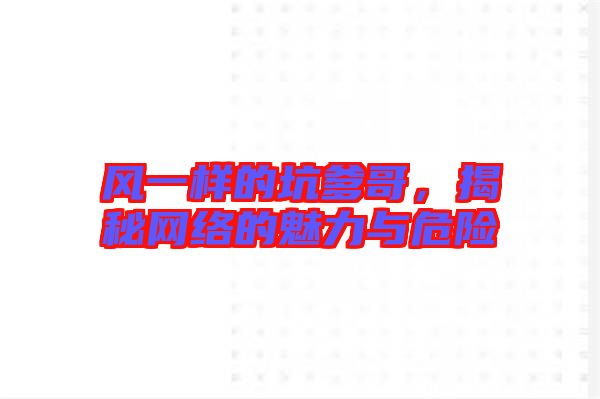 風(fēng)一樣的坑爹哥，揭秘網(wǎng)絡(luò)的魅力與危險
